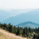 16 Best Side Hustles for Retirees