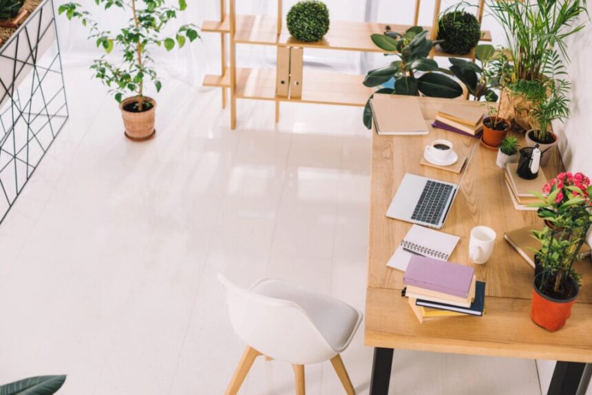 From Student Loans to $5,000,000: What I Learned About Blogging, Money, and Freedom